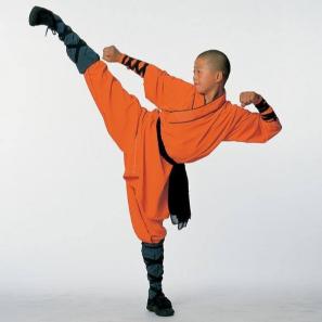What is kung fu?